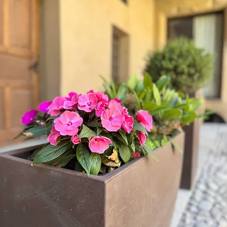 Apartment Casa Di Sant'anselmo - Le Volte Aosta